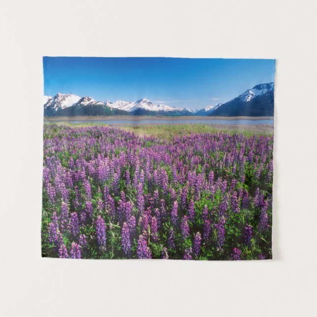 Tenture Lupines en fleur | Kenai Mountains, Alaska (Devant (Horizontal))
