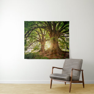 Tenture Majestueux vieux chênes dans une forêt ensoleillée