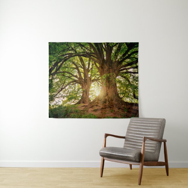 Tenture Majestueux vieux chênes dans une forêt ensoleillée (En situation (horizontale))