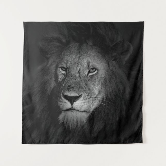TENTURE MÂLE LION (Devant)
