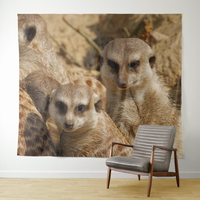 Tenture Meerkat 039 (En situation (horizontale))