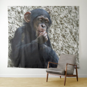 Tenture Mer de Chimpané 013