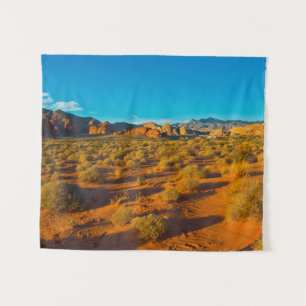 Tenture Monument national de Gold Butte, vue de Mud Road