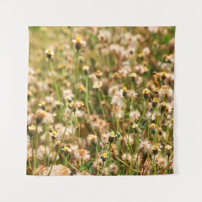 Tenture Nature background with grass flowerbackground, bea (Devant)