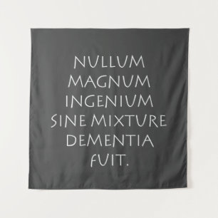 Tenture Nullum magnum ingenium sine mixture dementia fuit
