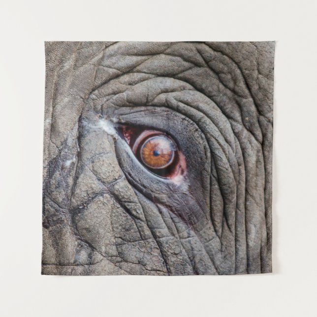 Tenture Oeil d'éléphant animal proche (Devant)