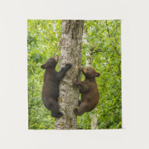 Tenture Oursons de l'ours noir grimpant à l'arbre