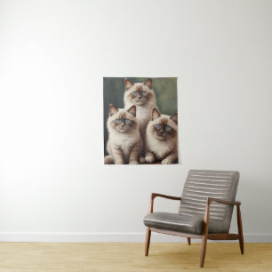 Tenture Paire adorable de Ragdoll Kittens Chat doux