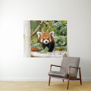 Tenture Panda rouge