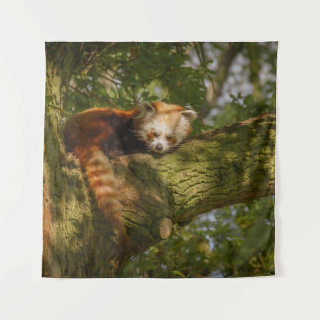 TENTURE PANDA ROUGE SUR BRANCHE ARBRE VERT (Devant)