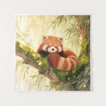 Panda roux