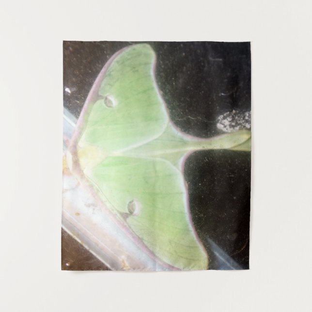 Tenture Papillon lune en gros plan (Devant)