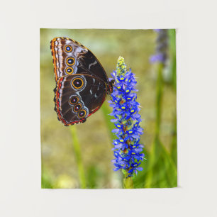 Tenture Papillon morpho bleu sur une orchidée de marais
