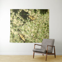 Papillons à queue épineuse sur arbuste à fleurs