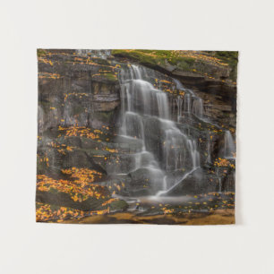 Tenture Parc national de Blackwater Falls