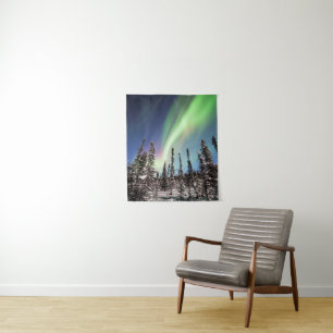 Tenture Parc national du nord des lumières Denali