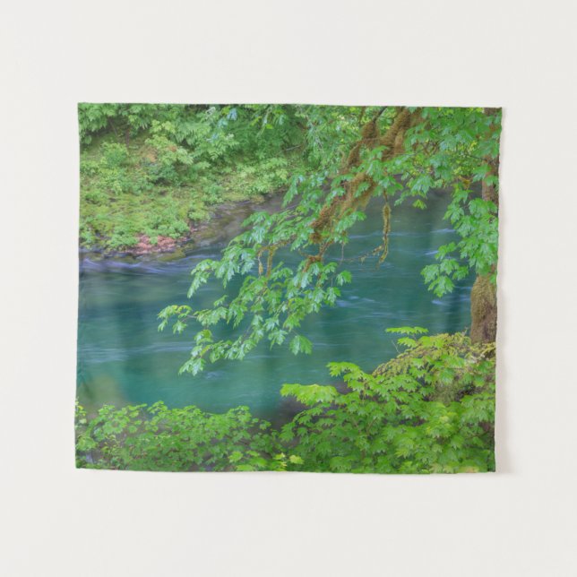 Tenture Parc national olympique Washington State (Devant (Horizontal))