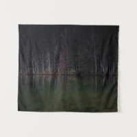 Paysage arboré au lac