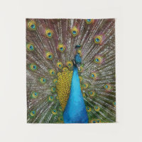 Peacock Art in Jewel Tone Coloris