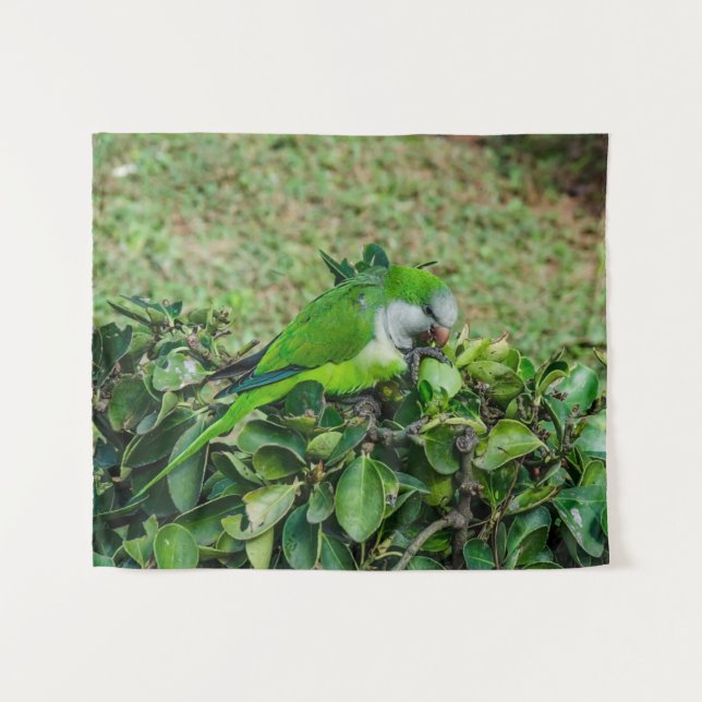 Tenture Perroquet vert (Devant (Horizontal))