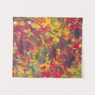 Tenture Petite nature des oliviers d'automne