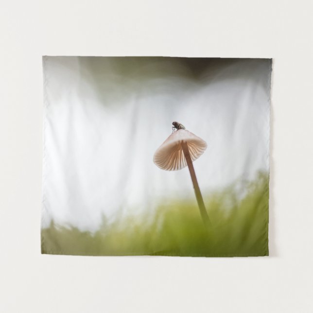 Tenture Petite photo de la nature des champignons (Devant (Horizontal))
