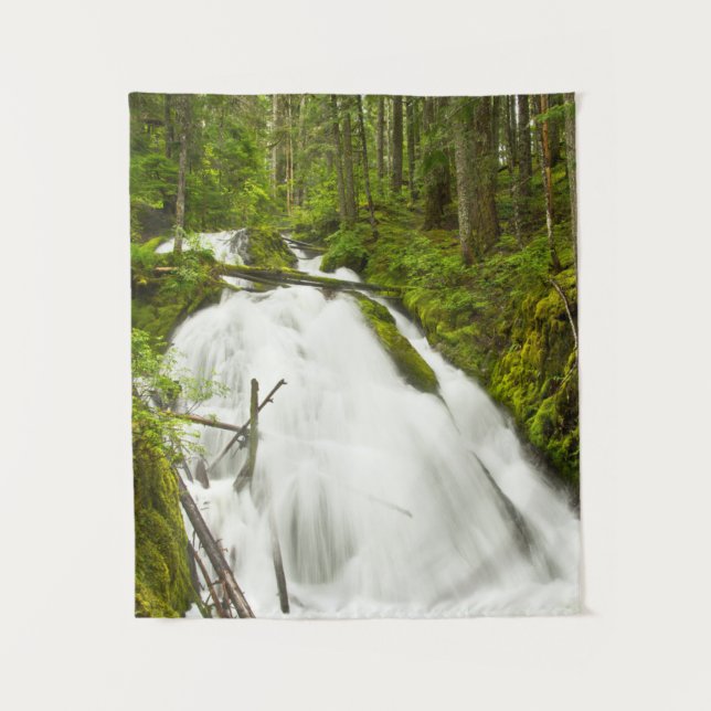 Tenture Petites chutes de Zig Zag | Forêt nationale du Mon (Devant)