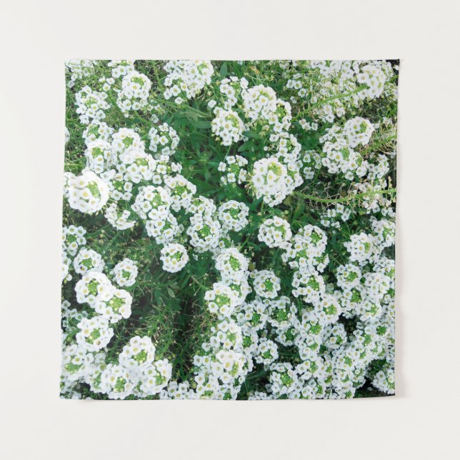 Tenture Petites fleurs blanches dans l'herbe en journée à (Devant)