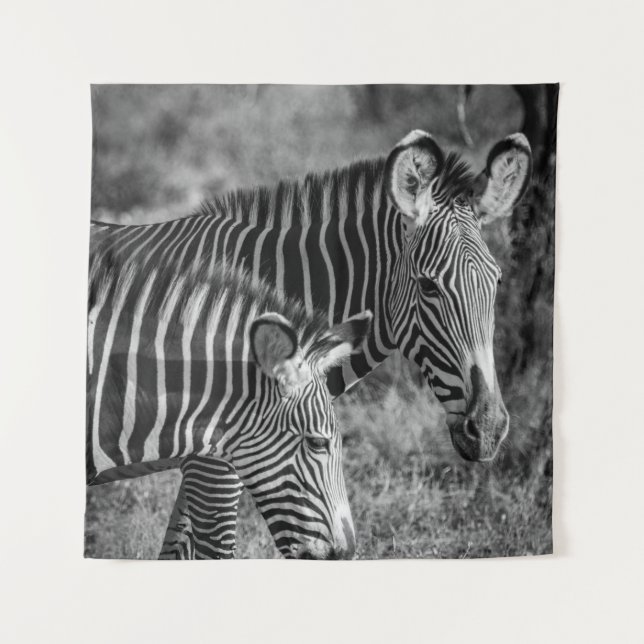 TENTURE PHOTO À GRANDE ÉCHELLE DE ZEBRAS (Devant)