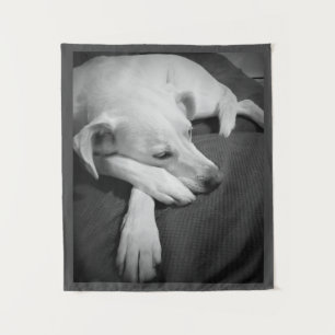 Tenture Photo en noir et blanc d'un beau chien dormant