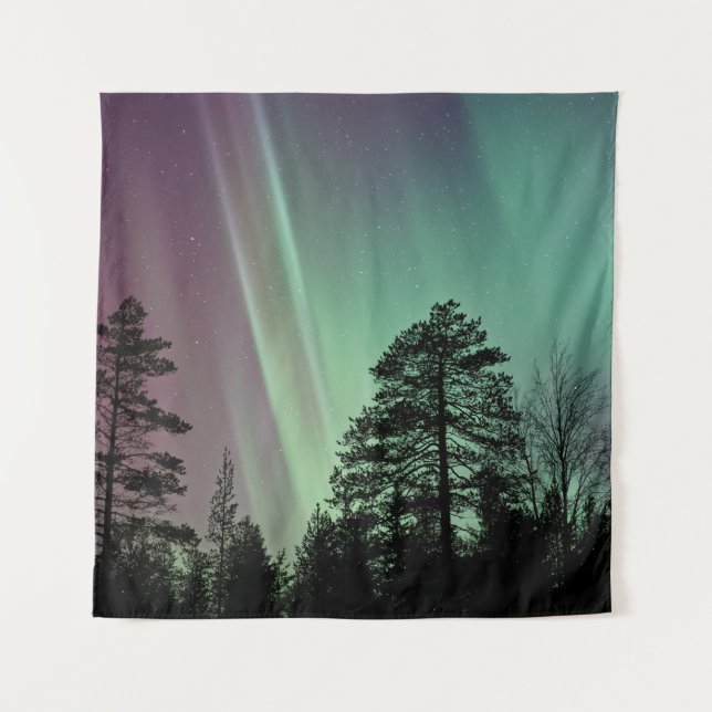 TENTURE PHOTO SILHOUETTE D'AURORA BOREALIS (Devant)