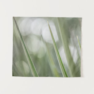 Tenture Photo vert pointu Plante Nature