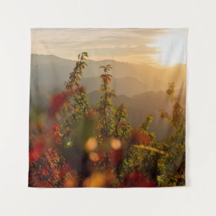 Tenture Photographie de nature d'arbres verts surplombant