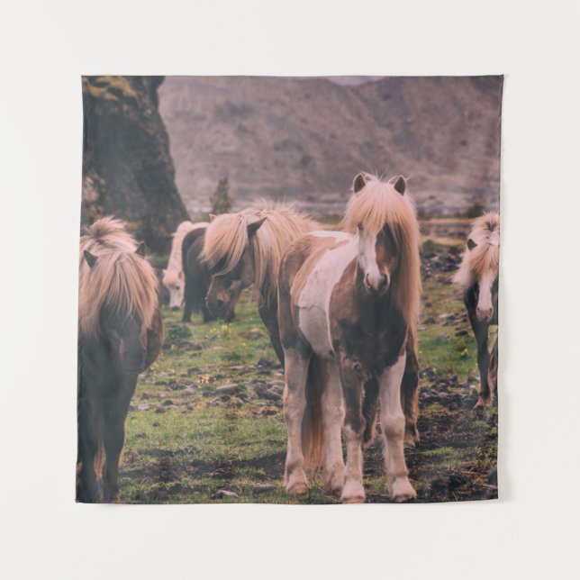 TENTURE PHOTOGRAPHIE DES CHEVAUX À FAIBLE INFLUENCE (Devant)