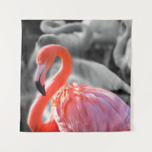 Tenture Photographie d'oiseaux Flamants roses