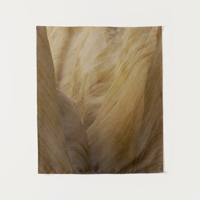 Tenture Pierre grise et jaune (Devant)