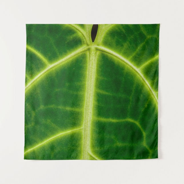 Tenture Plante à feuilles vertes (Devant)