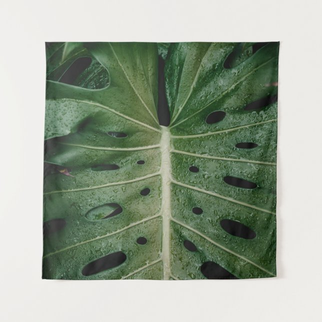 Tenture Plante de feuille verte (Devant)