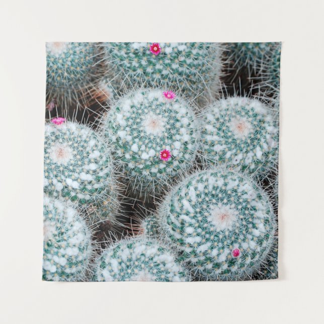 Tenture Plantes de cactus aux minuscules fleurs roses (Devant)
