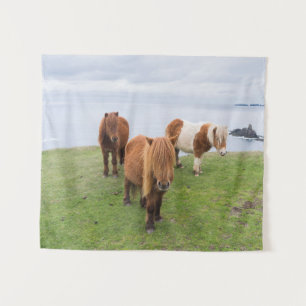 Tenture Poney Shetland dans un pâturage près de hautes fal