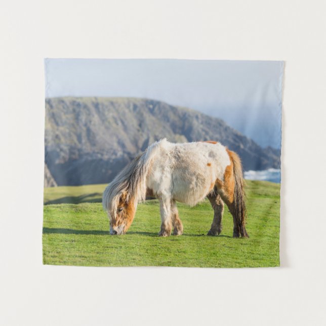 Tenture Poney Shetland sur le pâturage près de hautes fala (Devant (Horizontal))