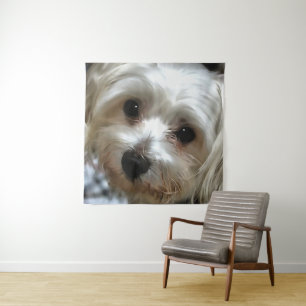 Tenture Portrait de chien de rue White Haired