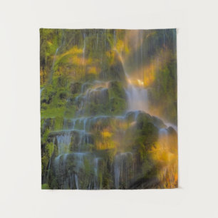 Tenture Proxy Falls Three Sisters Wilderness Oregon