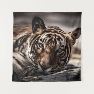 Tenture ranthambore tigre mâle sauvage Image d'art
