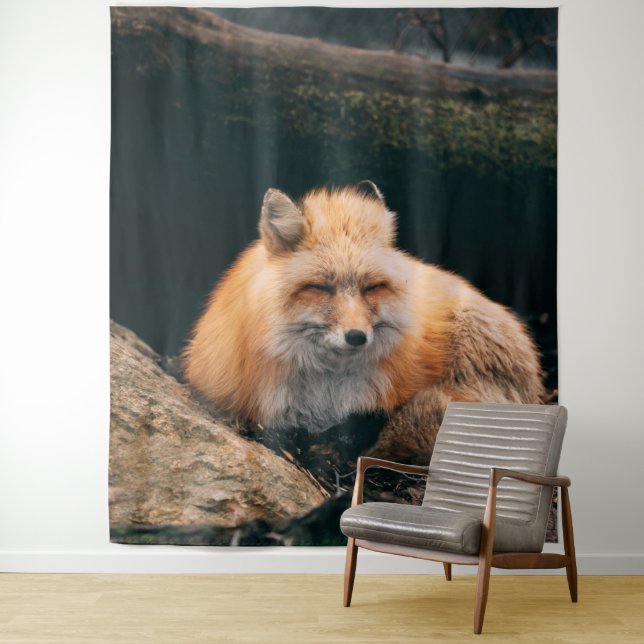 Tenture Red Fox dormant (En situation)