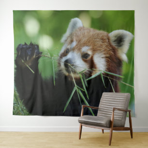 Tenture RedPanda 002