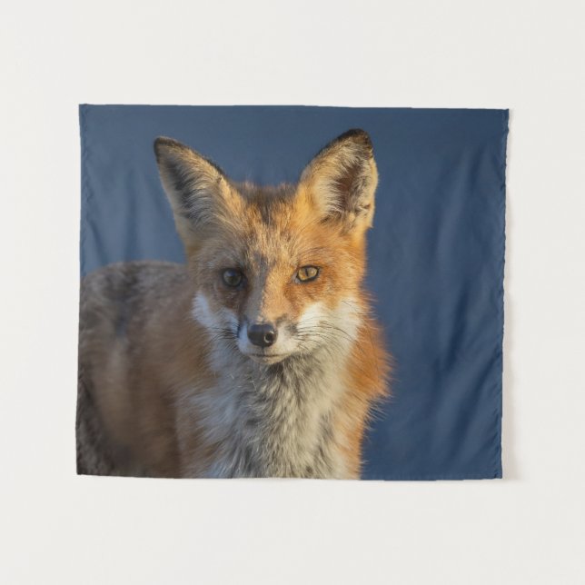 Tenture Renard Rouge Assez  (Devant (Horizontal))
