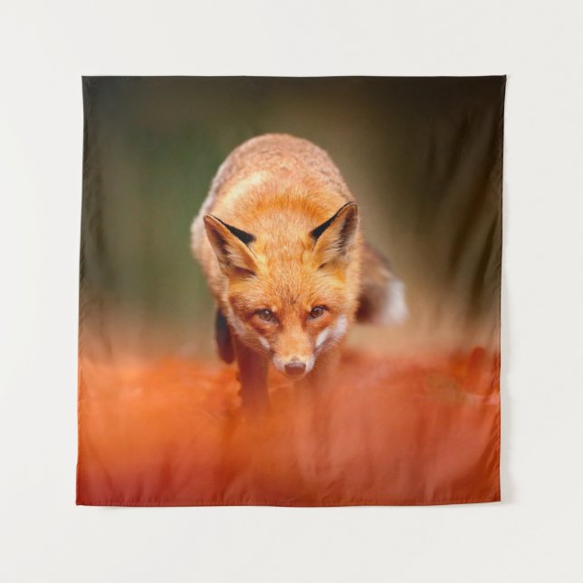 Tenture Renard rouge courant sur les feuilles d'automne or (Devant)