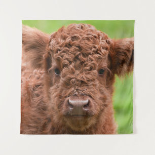 Tenture Rencontrez l'adorable Calf des Highlands
