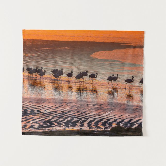 Tenture Réserve nationale de faune andine Eduardo Abaroa (Devant (Horizontal))